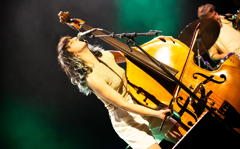 Louise Knobil trio "Knobisous"